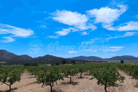 Landejendom i Yecla, Murcia, Yecla - € 219.000 | Ref: SF0531 - foto 32